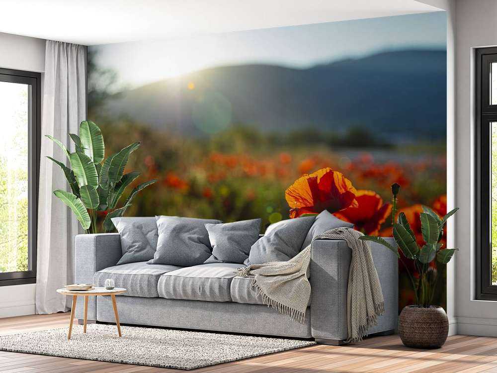 Poppies with sunbeams