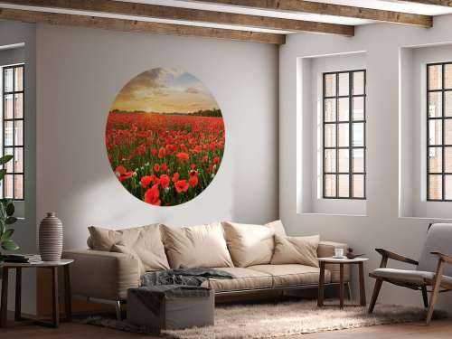 Sunset with poppies