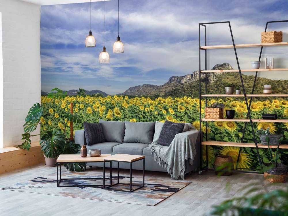 Yellow blooming field