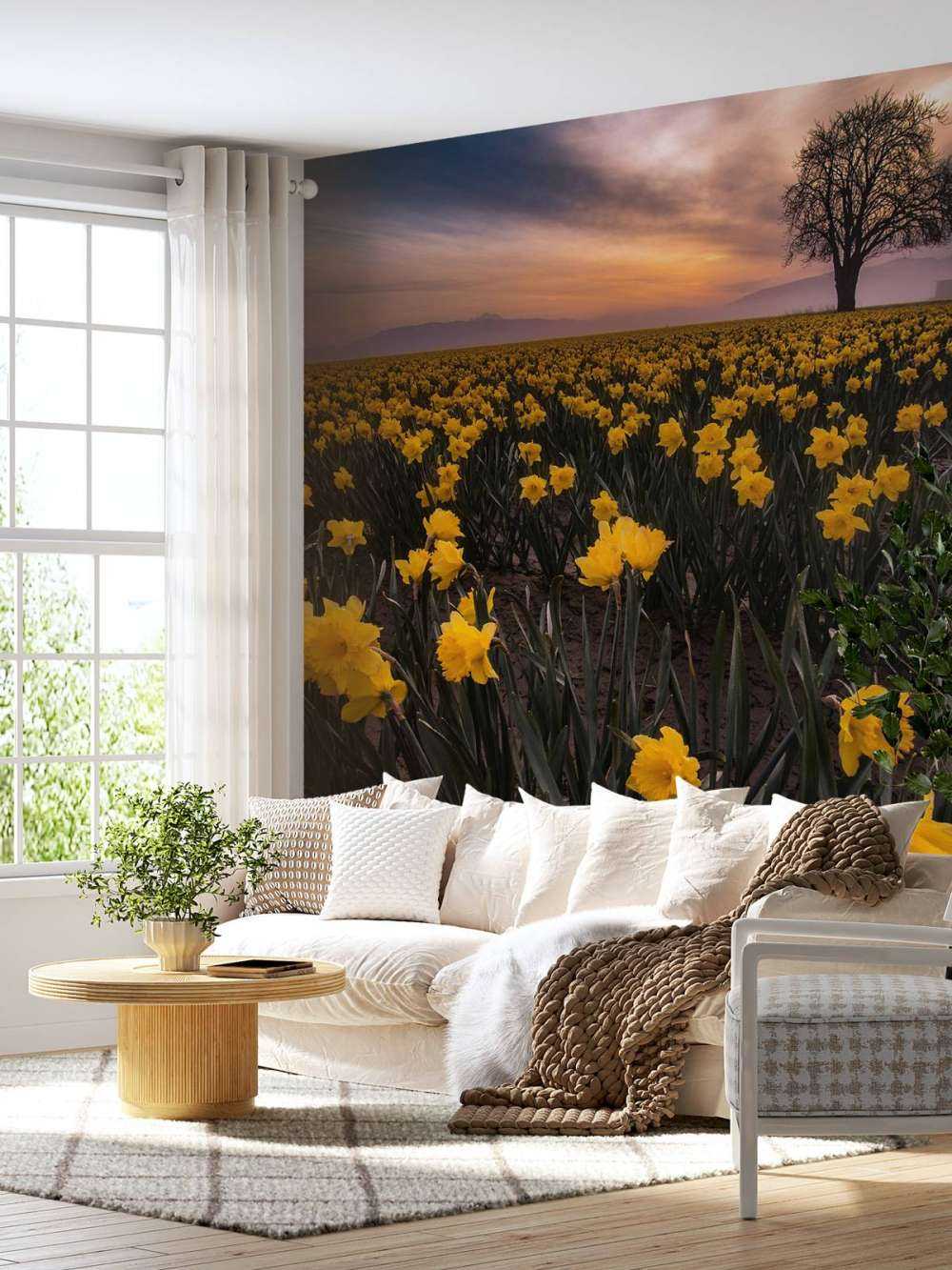 Field with daffodils