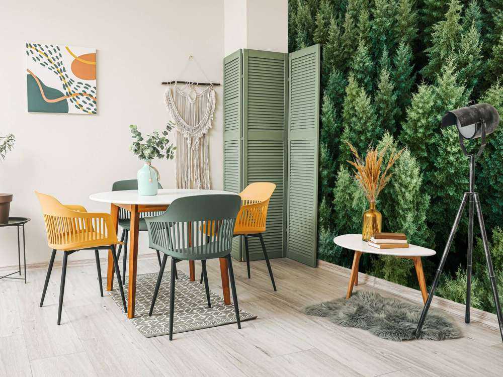 Douglas firs from above