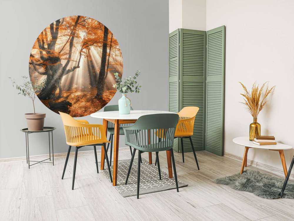 Magical Autumn Forest