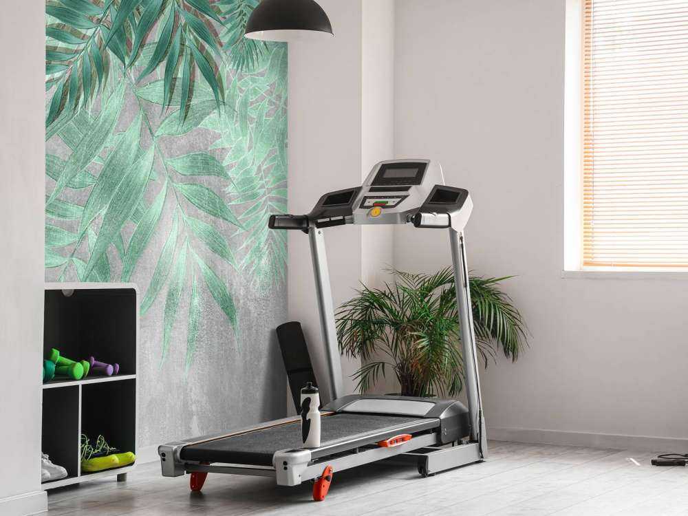 Green palm leaves with gray concrete wall