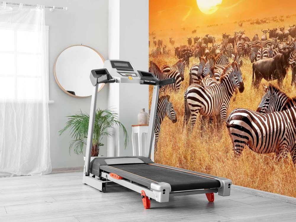 Savanna sun with zebras