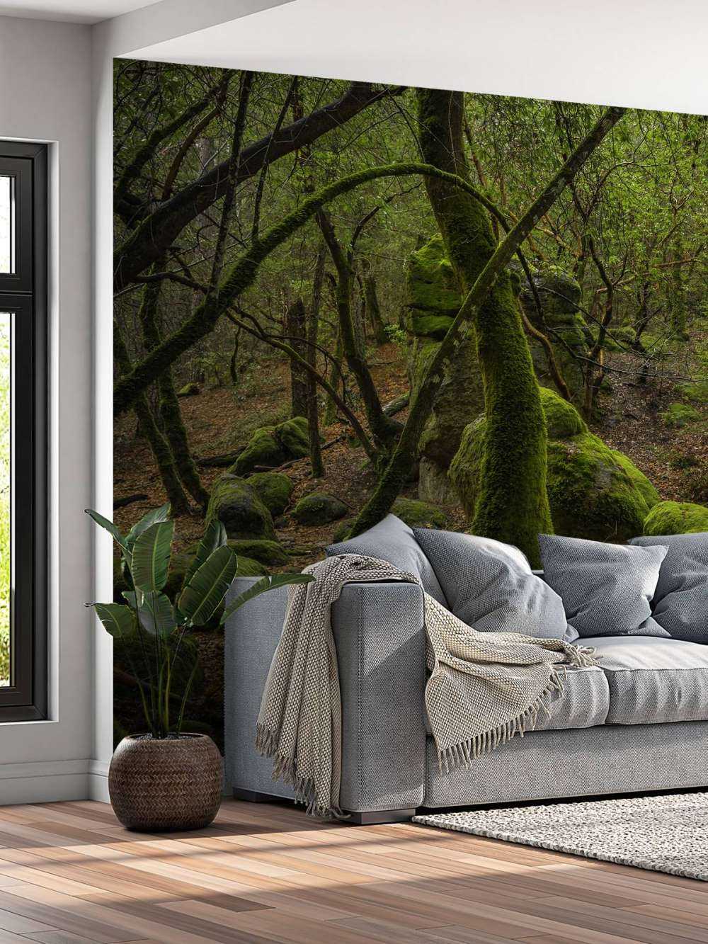 Trees and moss stones