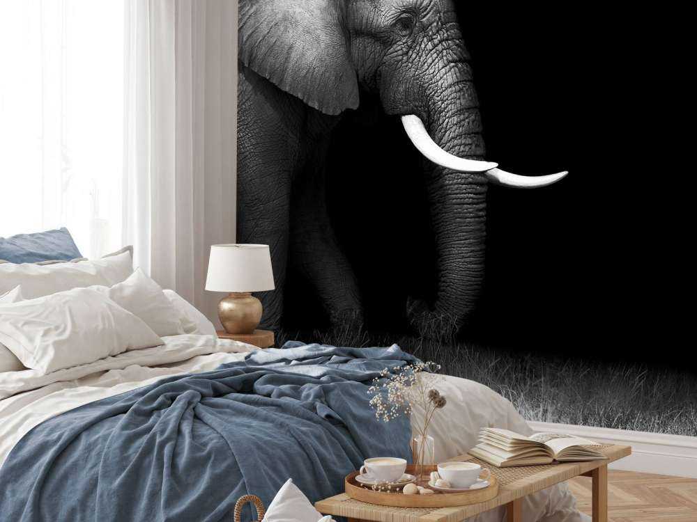 Elephant on grass