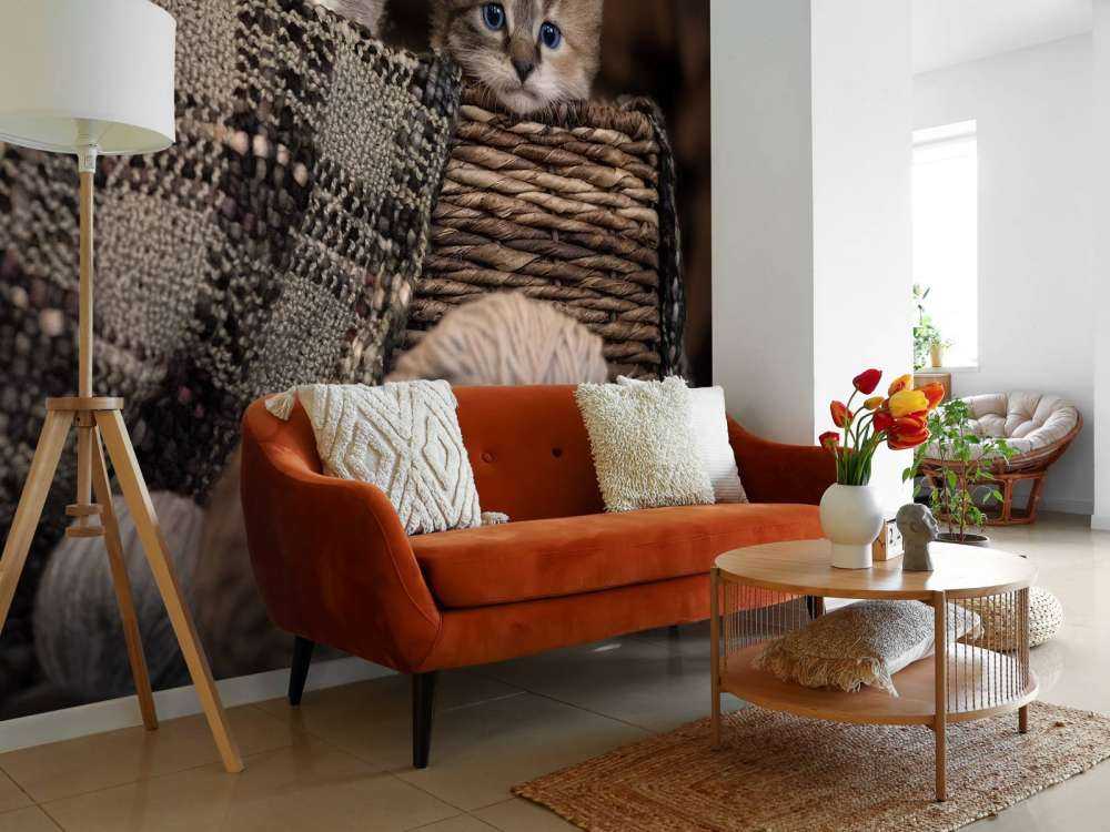 Three kittens in a basket