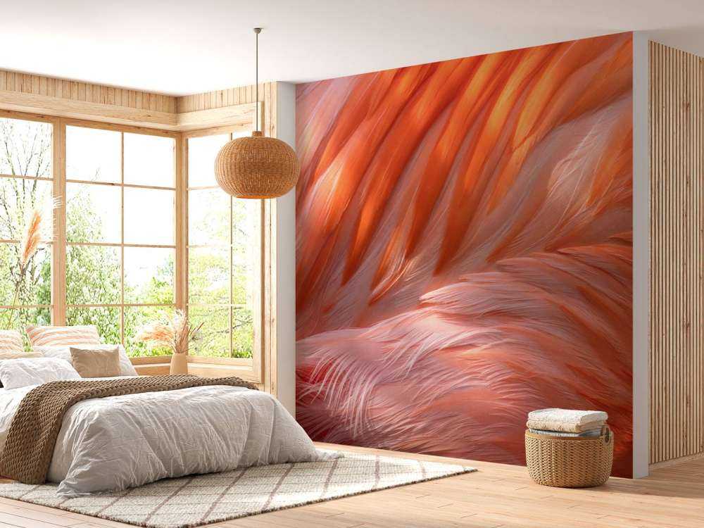 Flamingo feathers