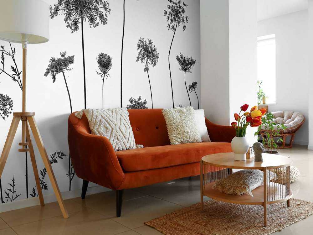 Cow parsley in black and white