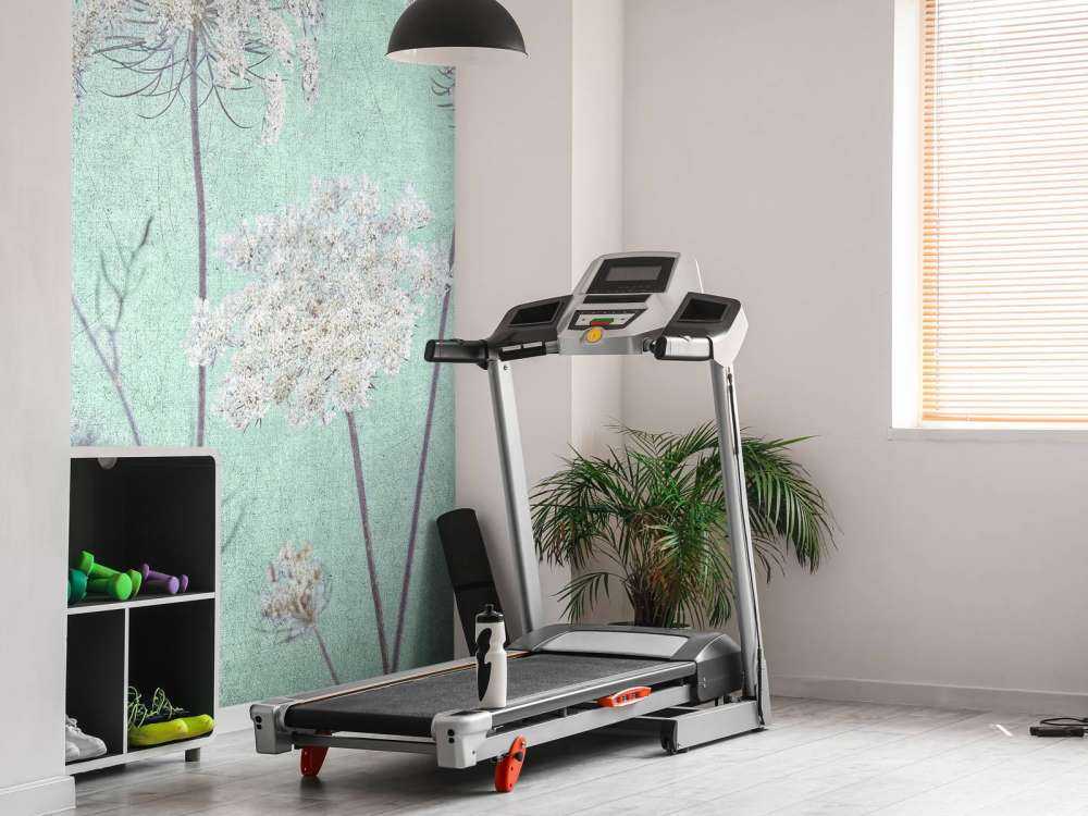 Cow parsley, dark green