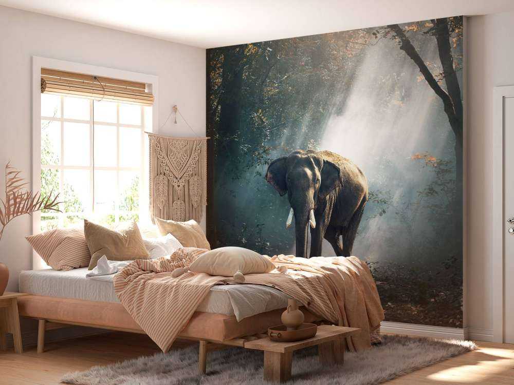 Elephant in a jungle
