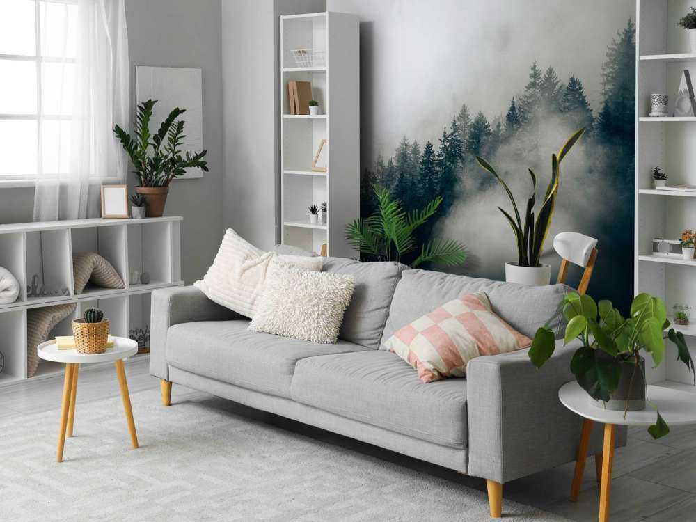 Foggy alpine morning