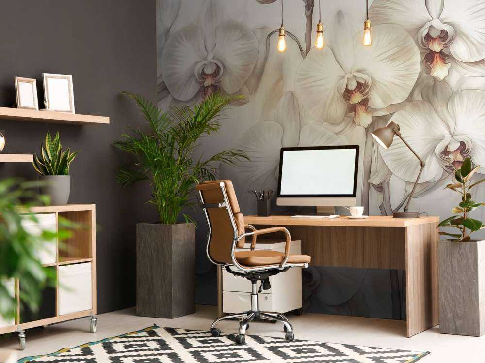 Orchids Paradise Orange