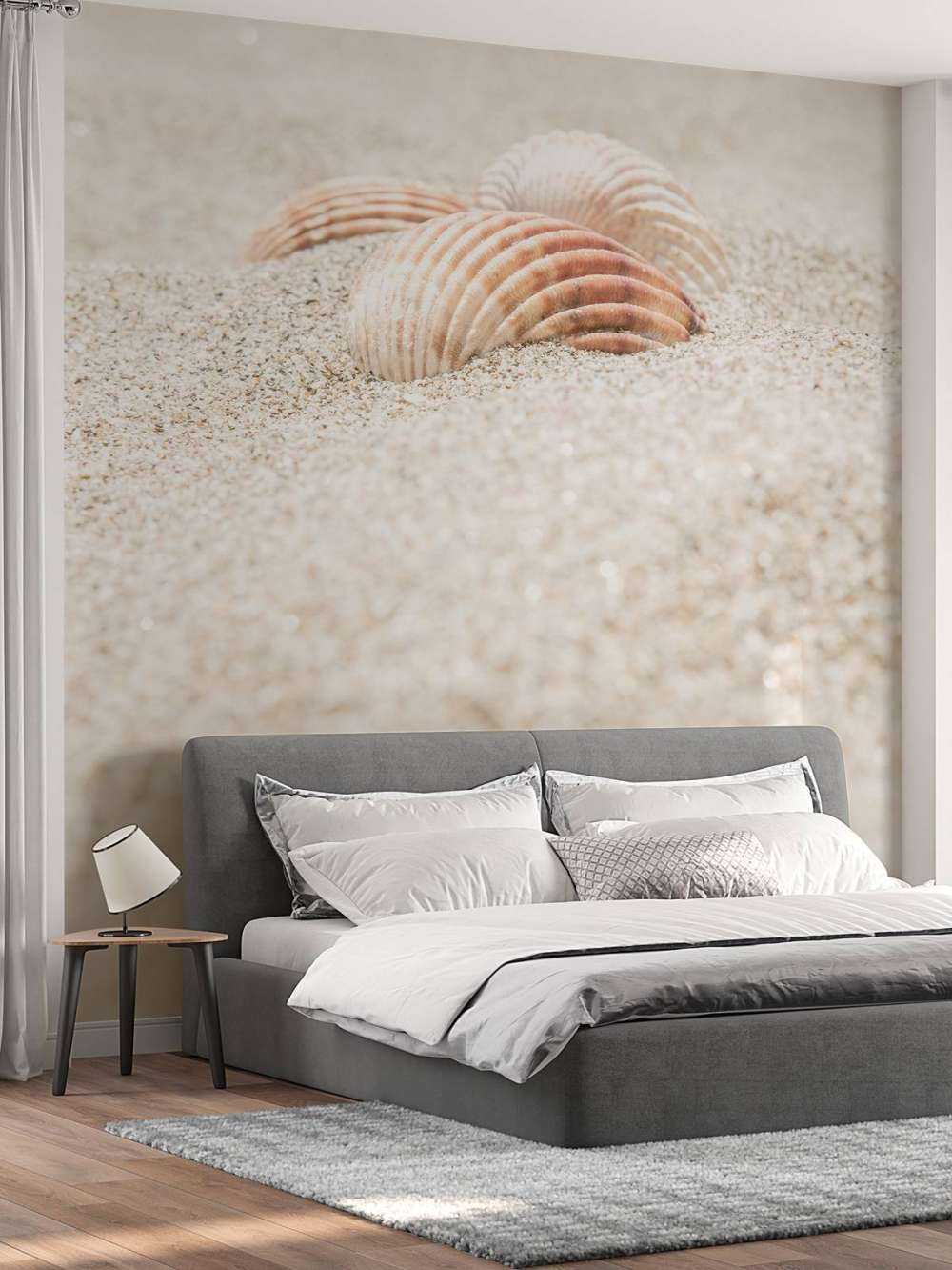 Shells on beach