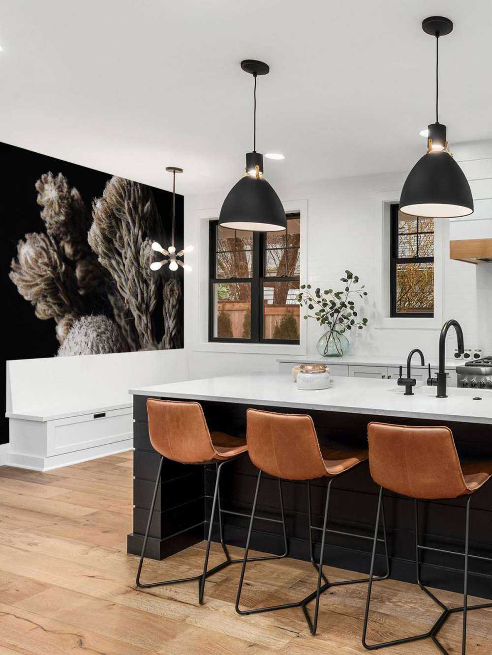 Close-up planten op zwart achtergrond