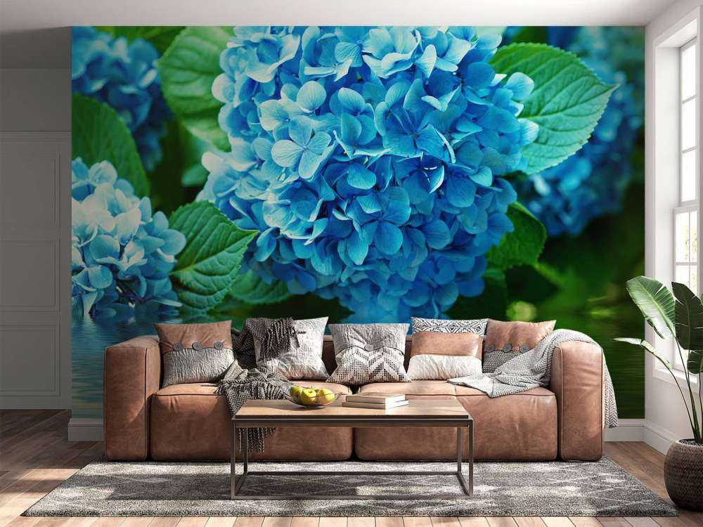 Hydrangea in water