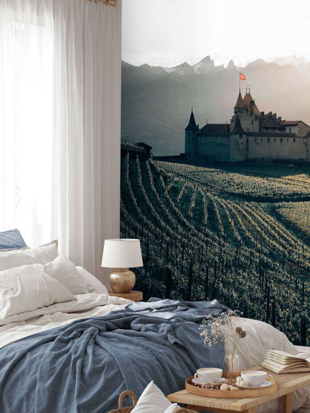 Aigle castle