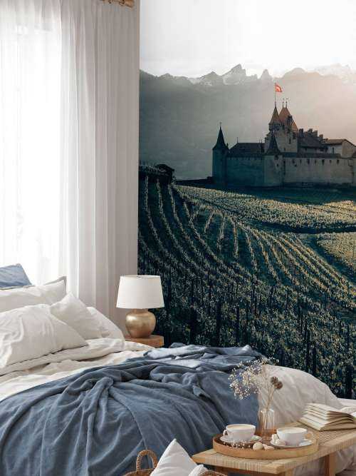 Aigle castle