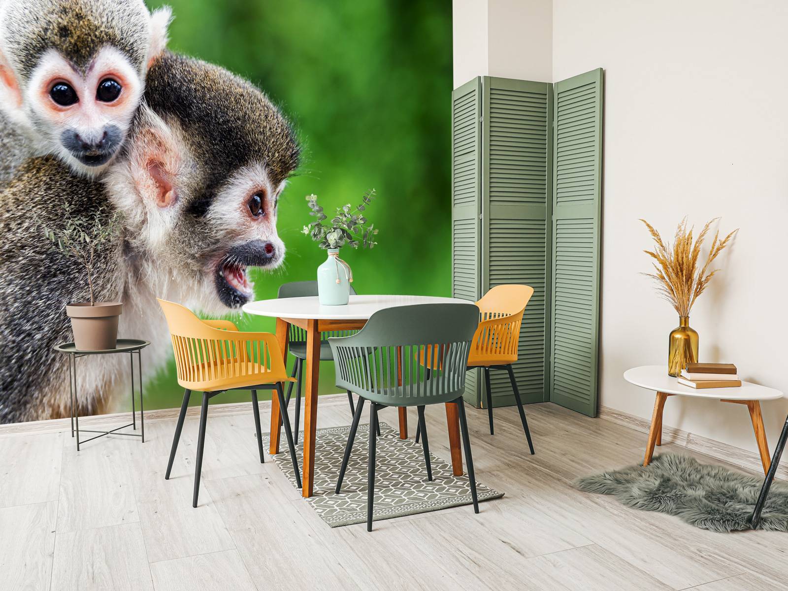 Squirrel monkeys