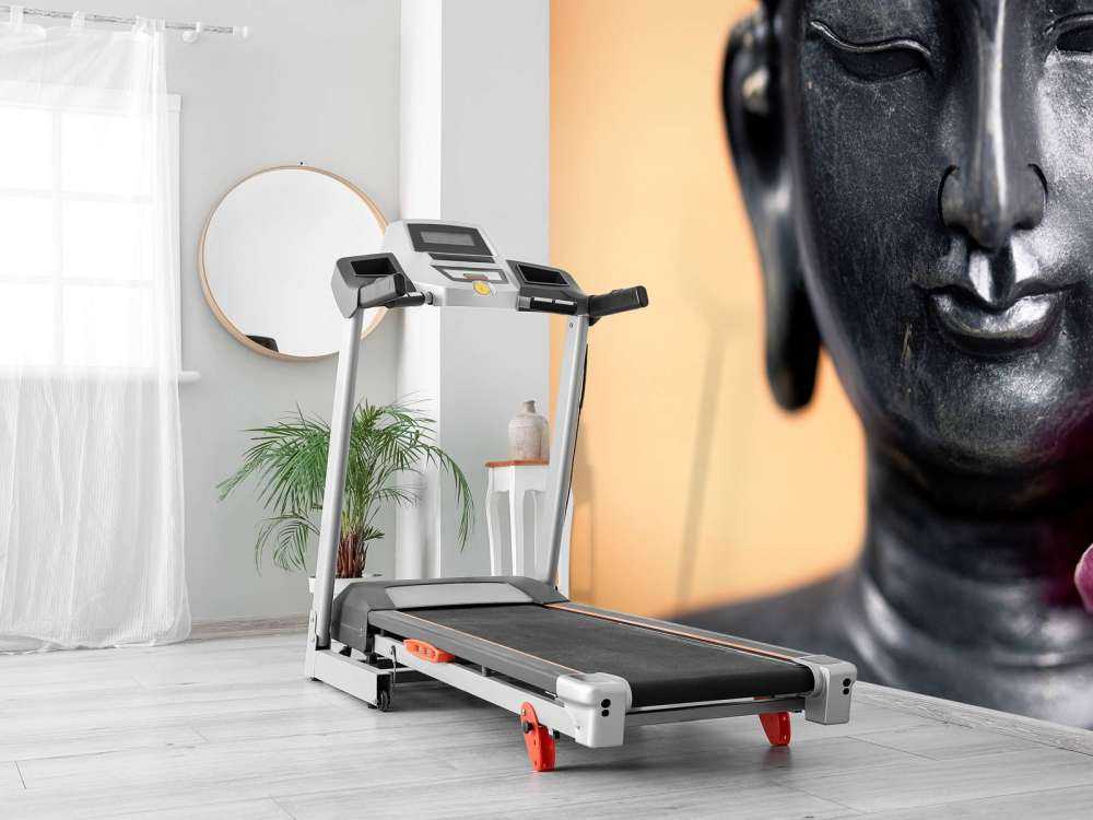 Buddha and pink orchid