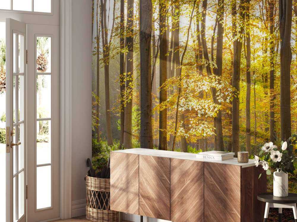 Sunny forest