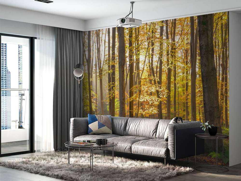 Sunny forest