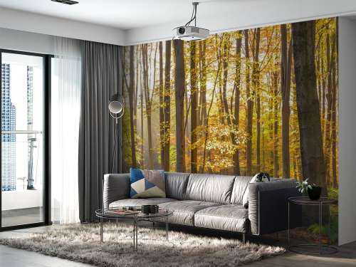 Sunny forest