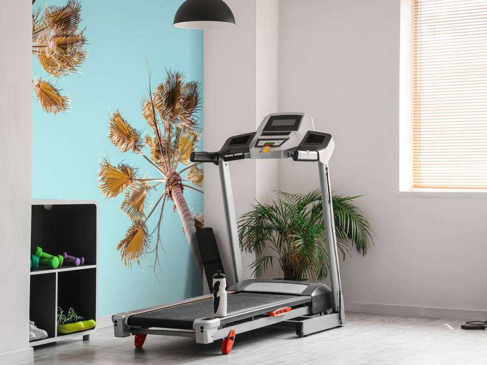 Palm trees with blue sky