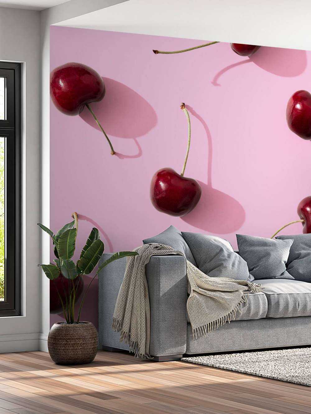 Cherries on pink background