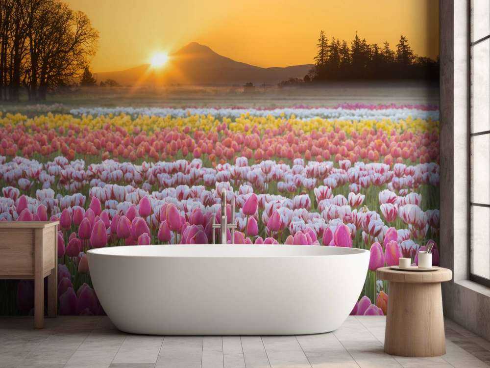 Colorful tulip field