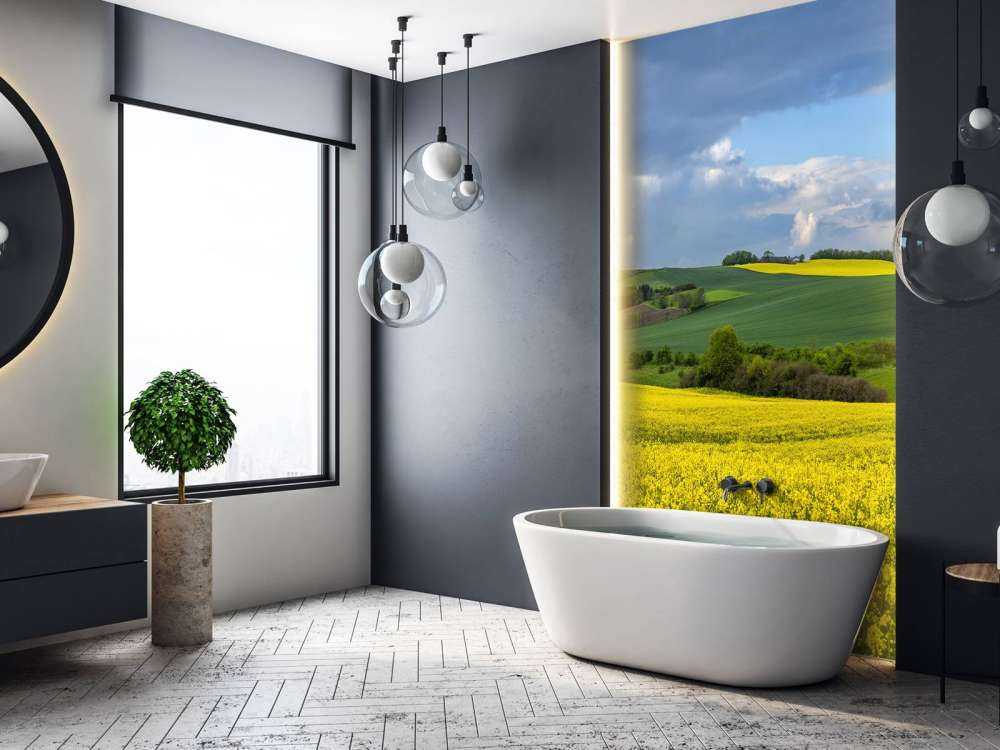 Rapeseed field