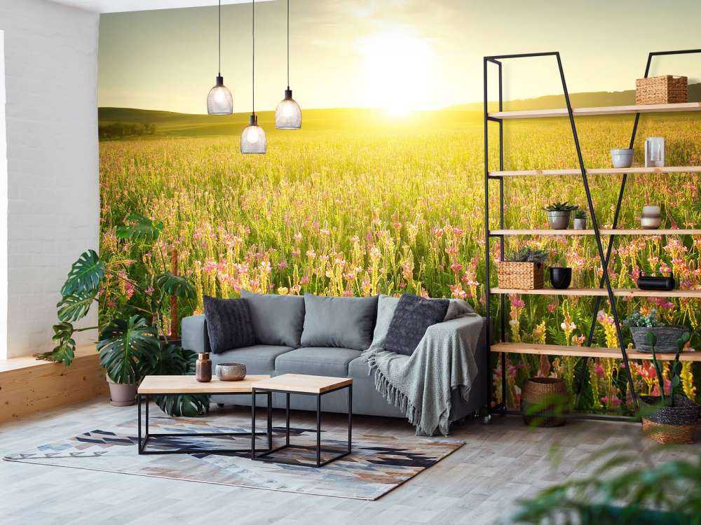 Zonsopkomst bij een bloemenveld