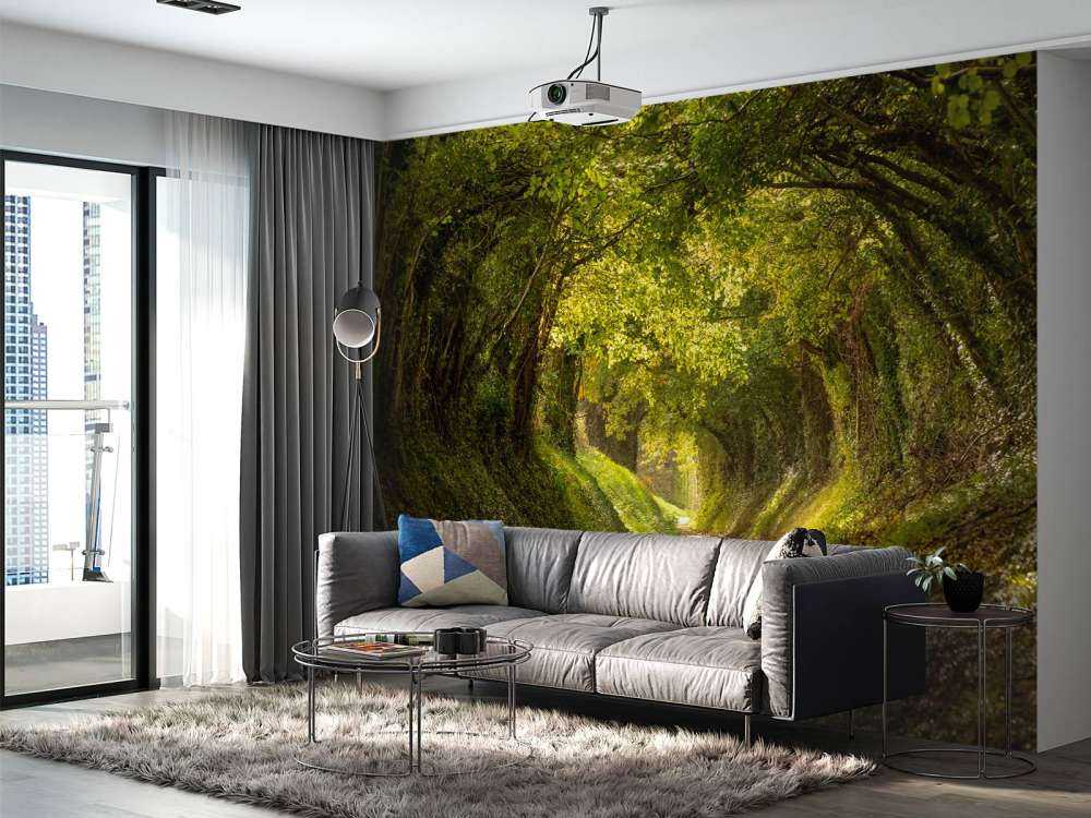 Halnaker tree tunnel