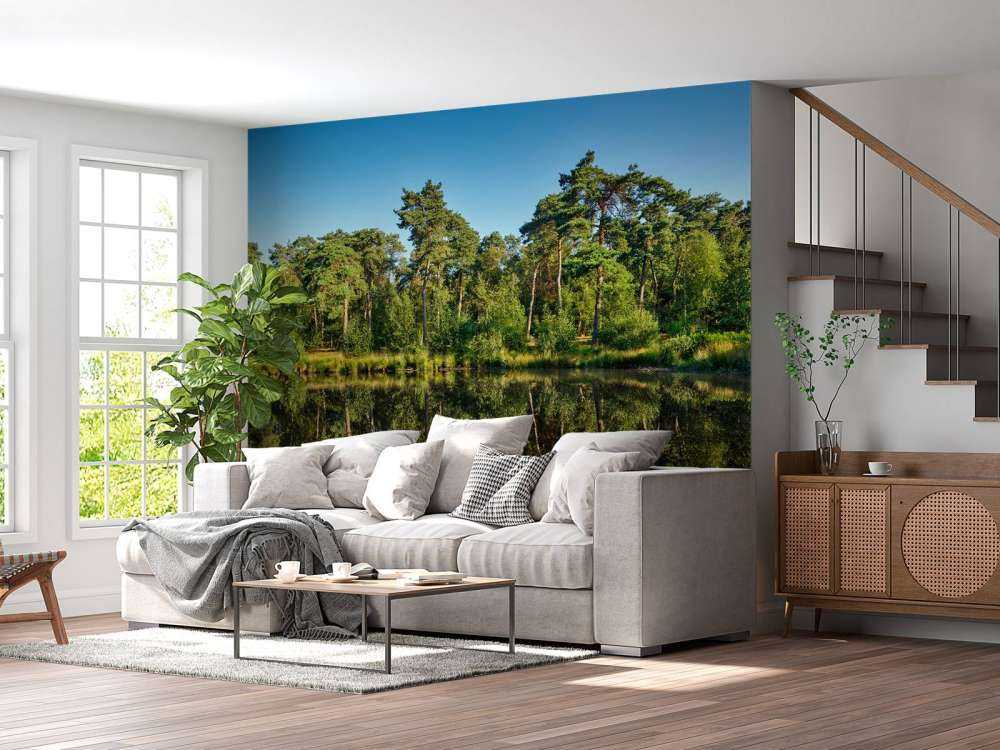 Reflection in woodland marsh