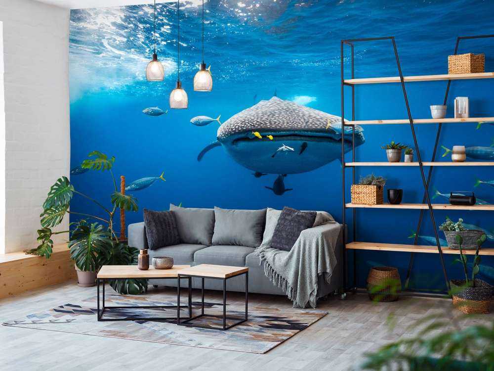 Whale shark escorted by a school of bonito