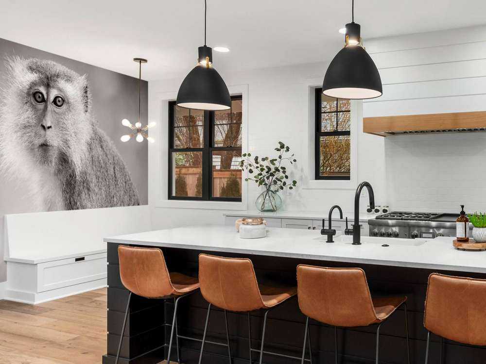 Schattig aapje in zwart-wit