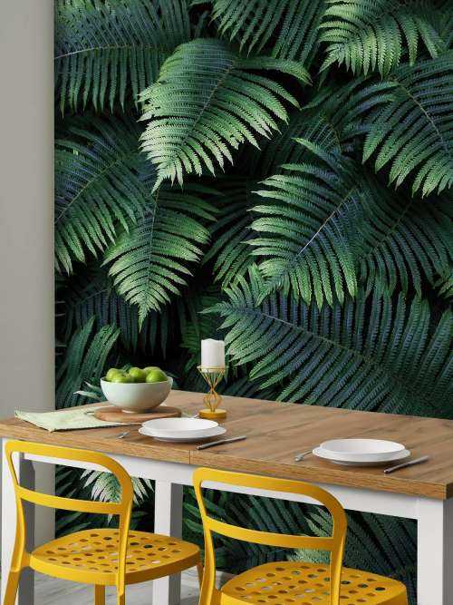 Large palm leaves