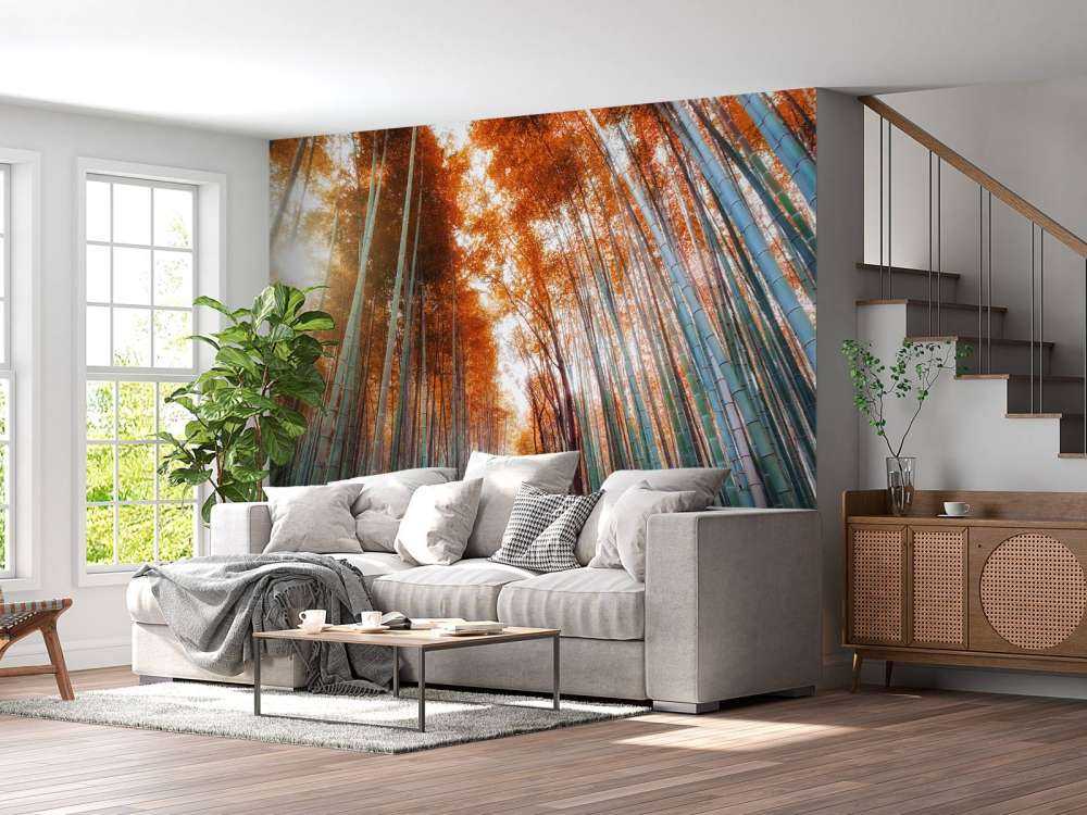 Autumn bamboo forest