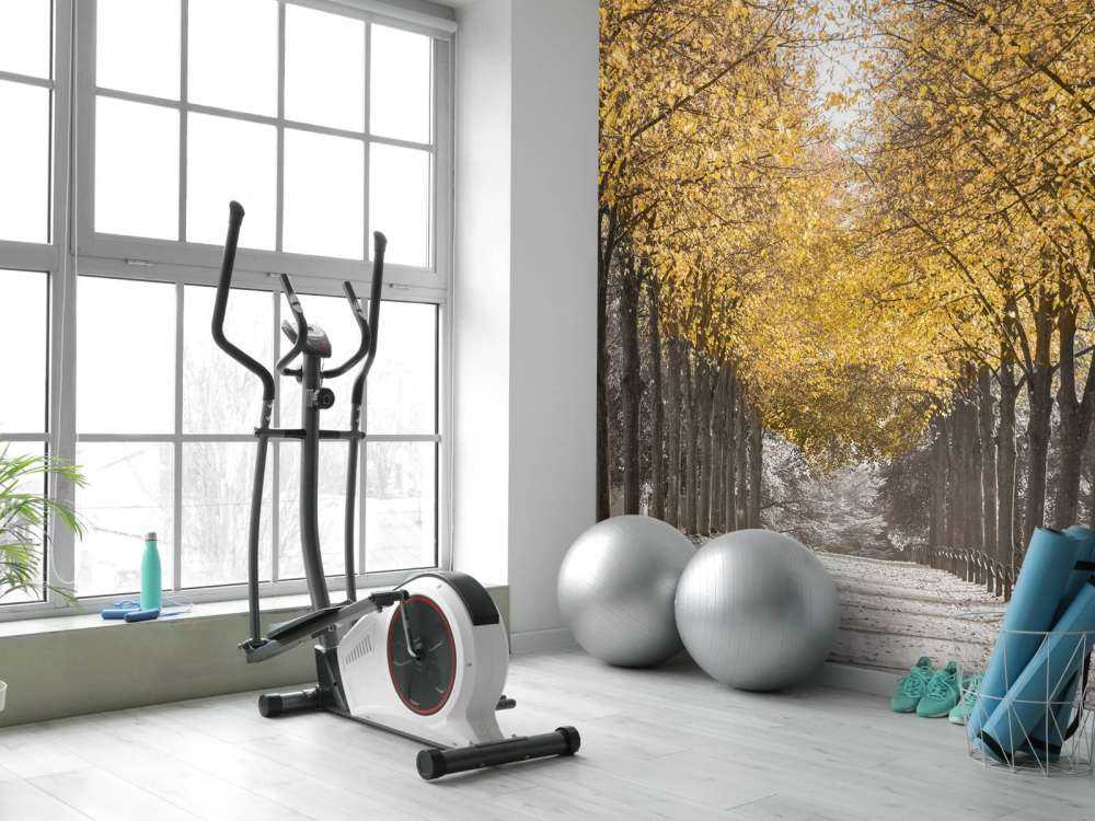 Path through the trees