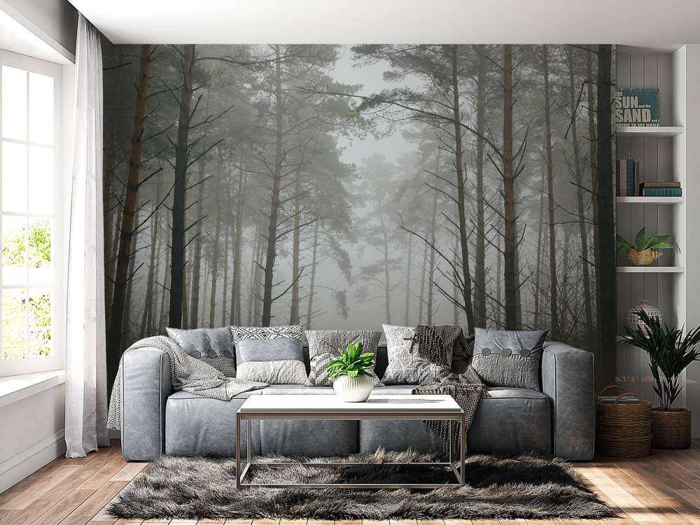 Path in misty forest