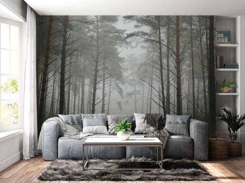 Path in misty forest