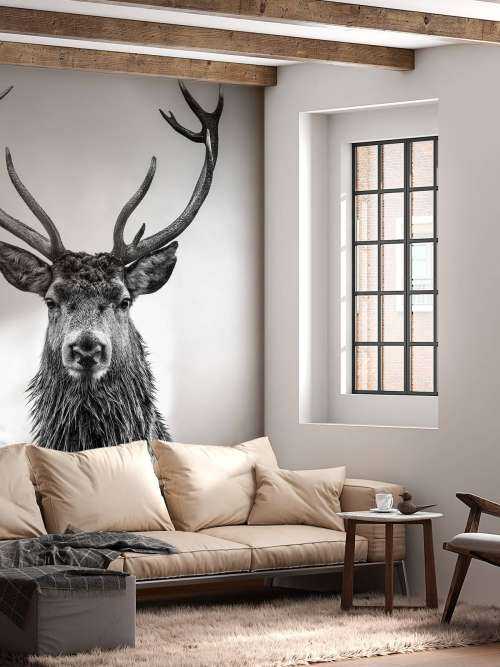 Big deer
