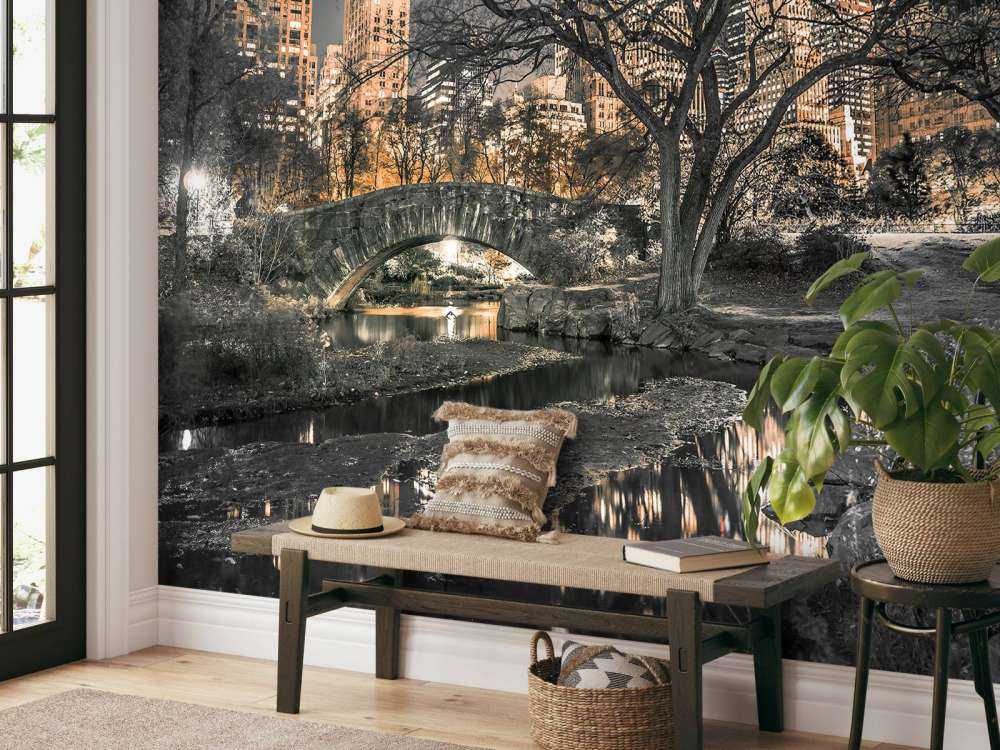 Central park in the evening