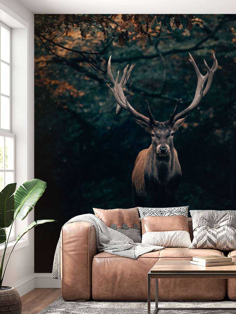 Fallow deer in the woods