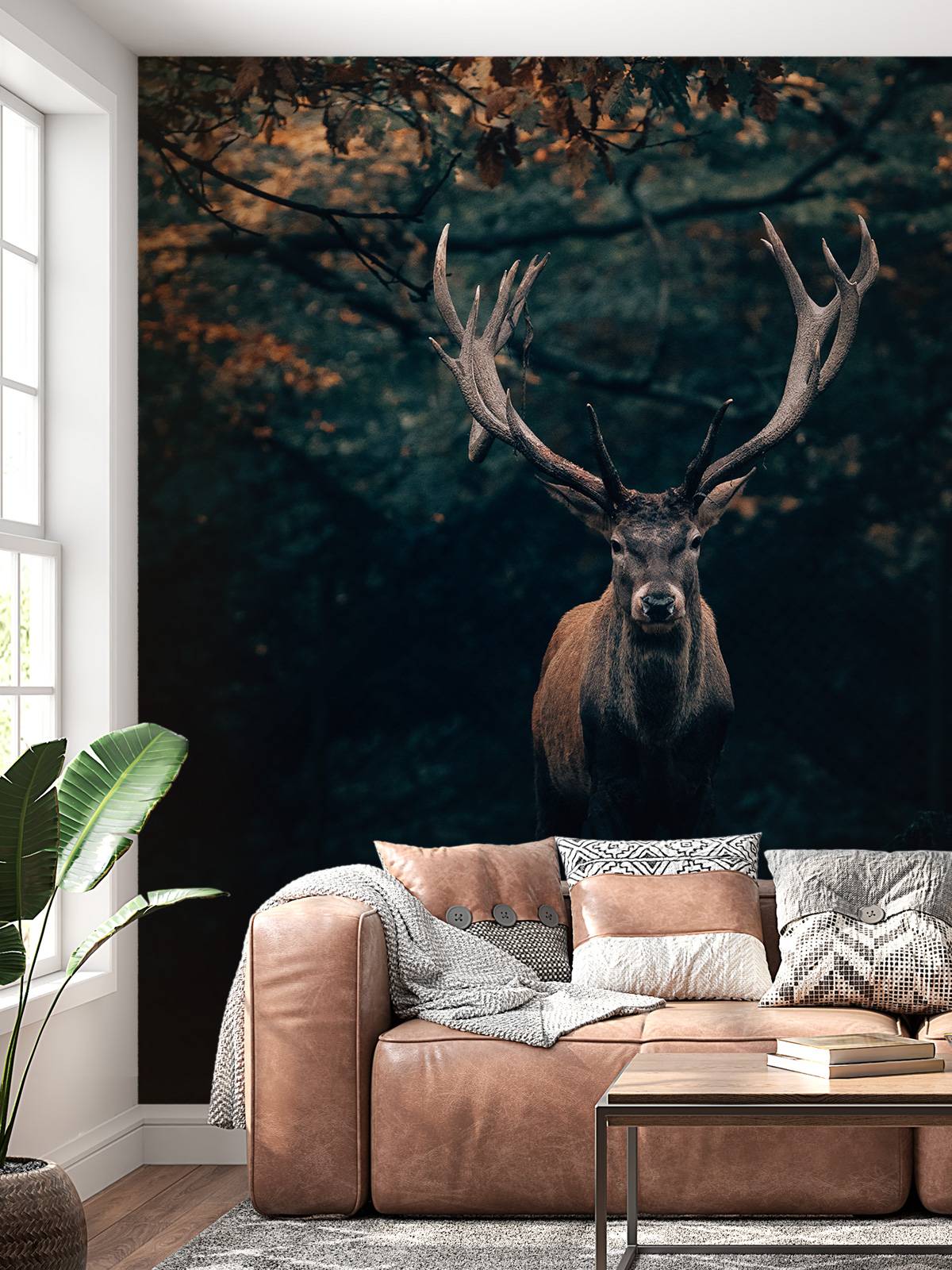 Fallow deer in the woods