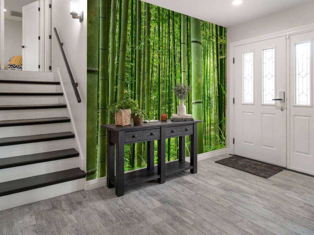 In the middle of the bamboo forest