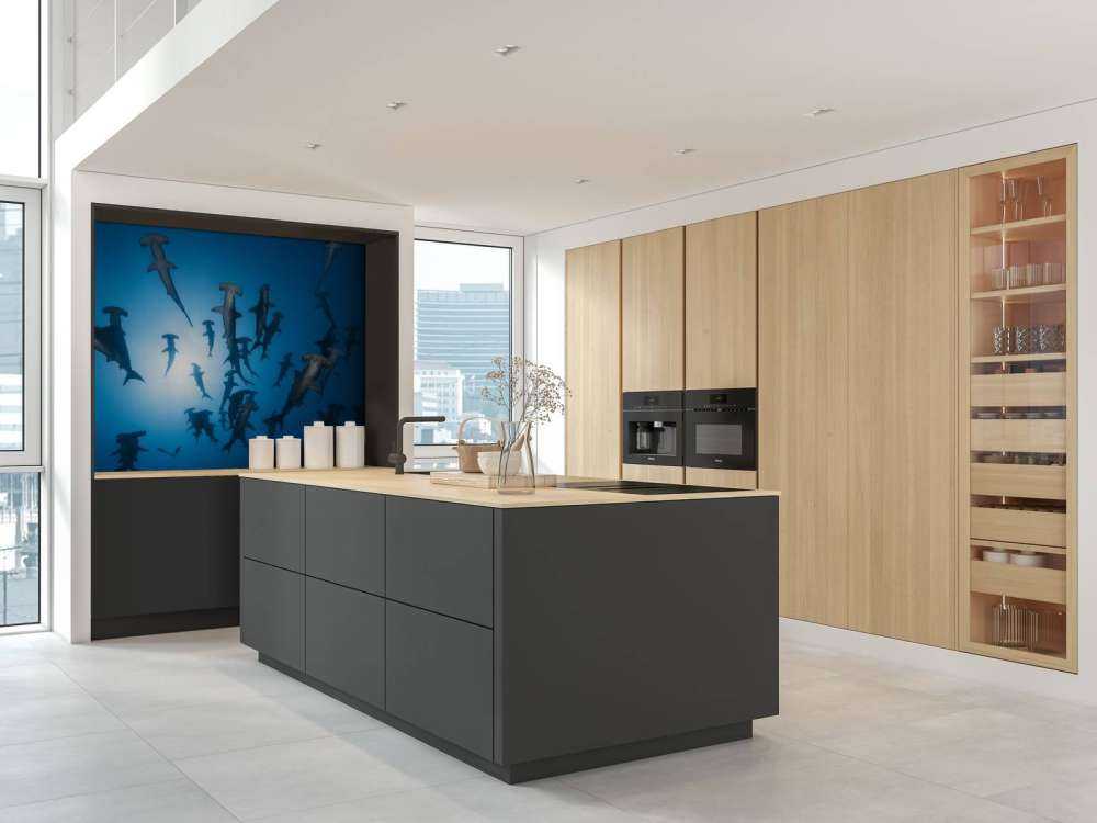 Hammerhead Shark - Underwater Photography