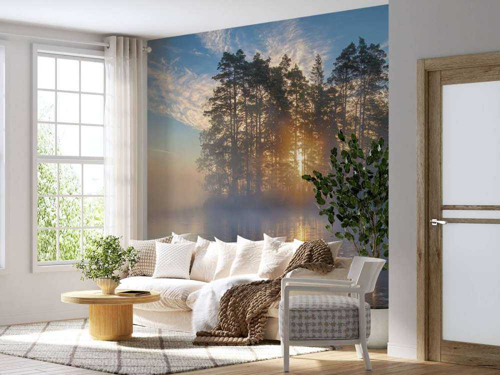 Morning light