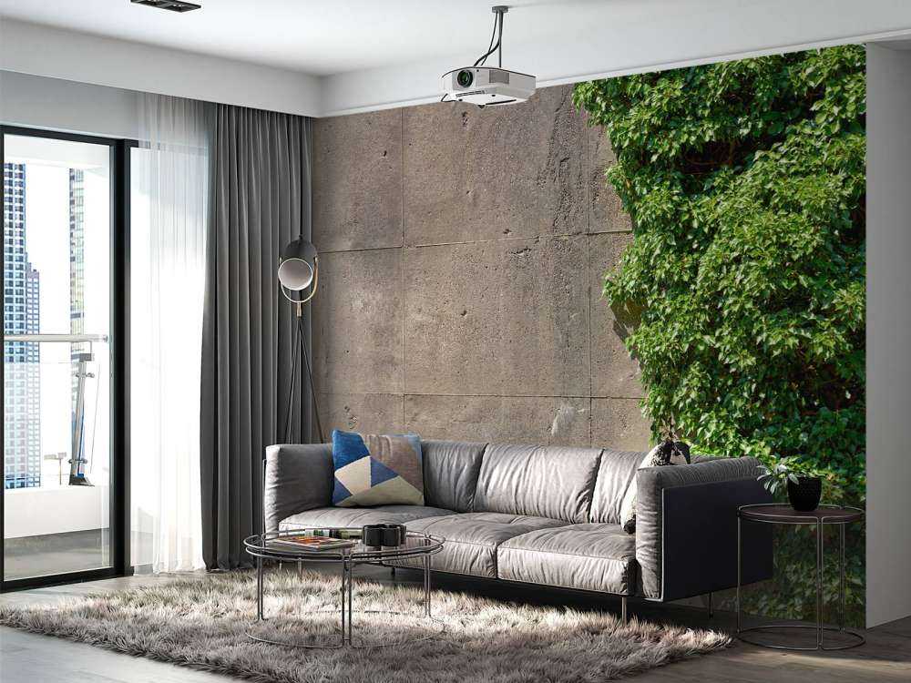 Concrete with bush 