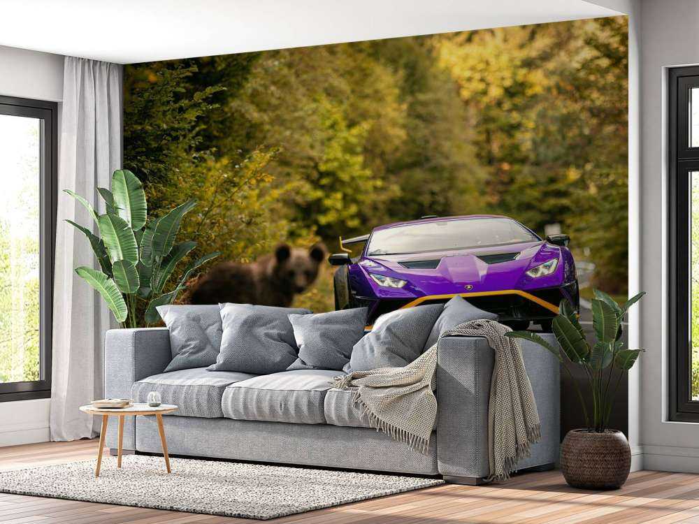 Lamborghini vs. wilderness